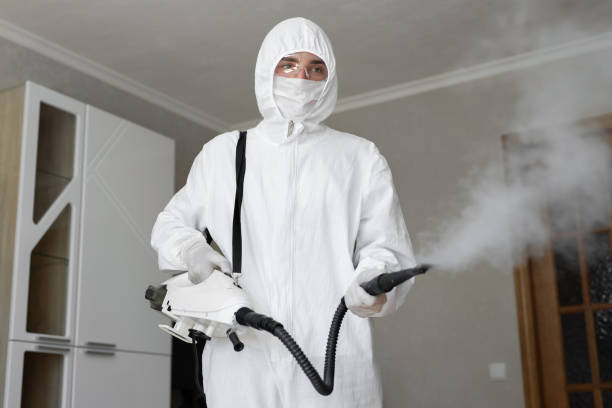 Mold Documentation for Insurance Claims in Wheeling, IL